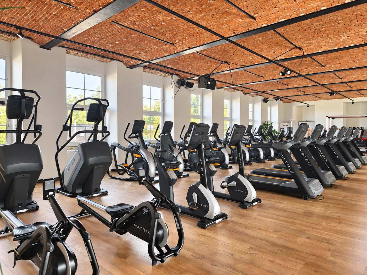 Cardio in der FITNESS line